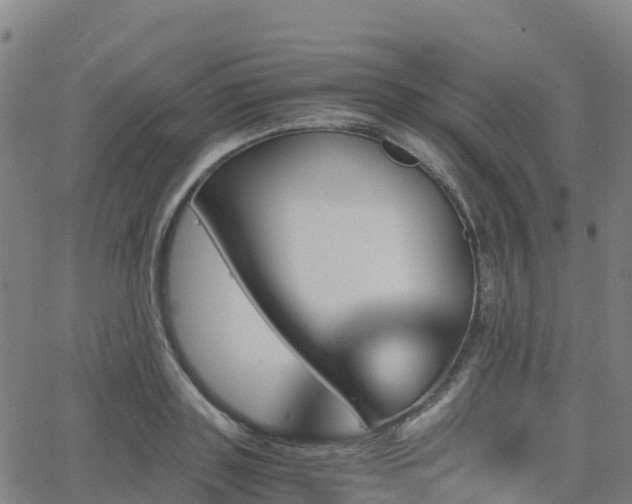 X0000062920843200601181242