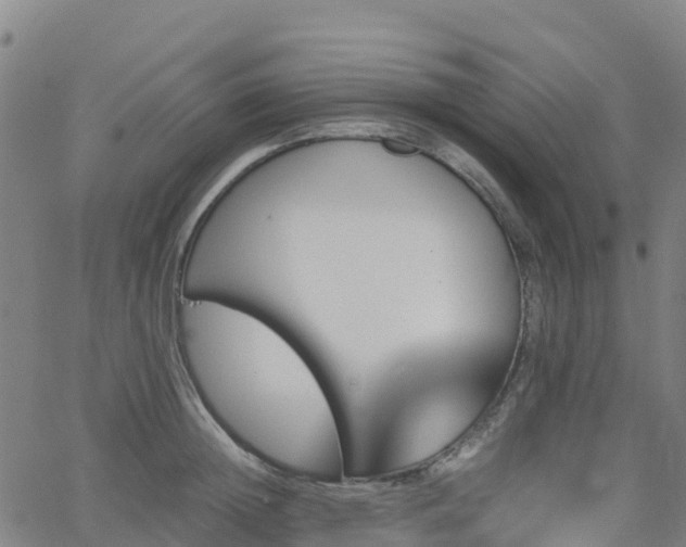 X0000062920852200601181243