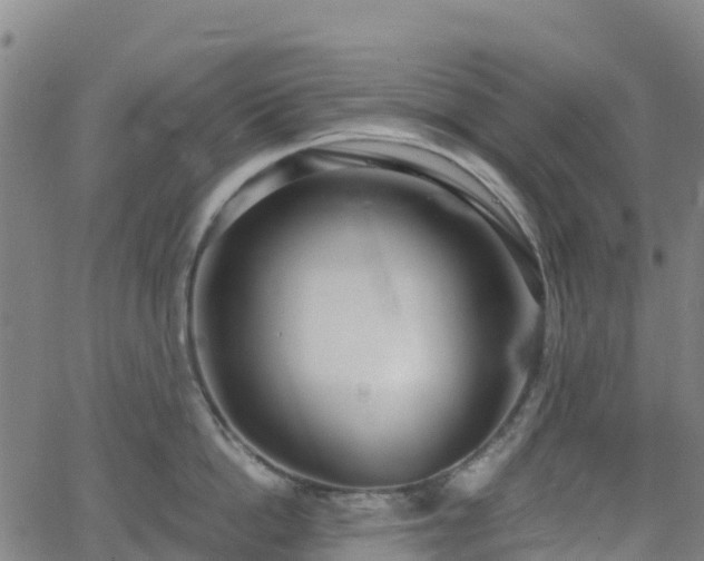 X0000062920862200601181243