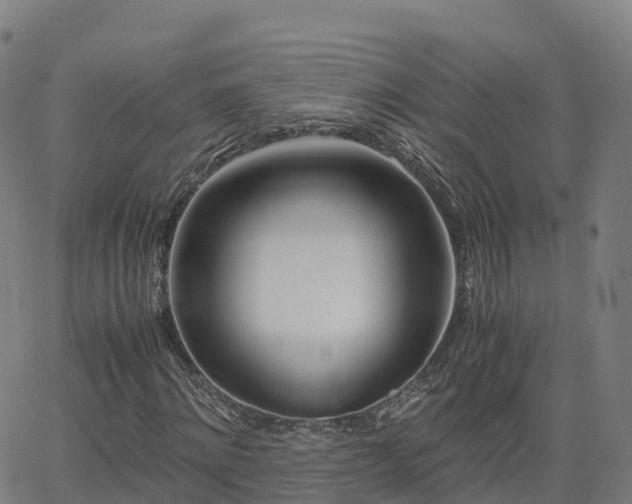 X0000062920868200601181242