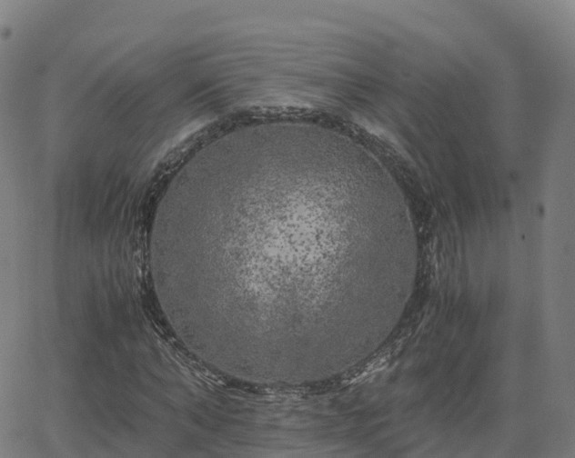 X0000062920870200601181242