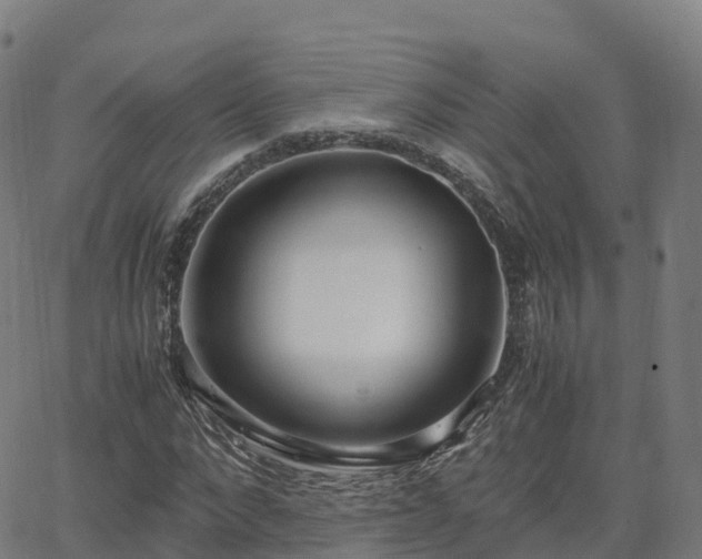 X0000062920872200601181242