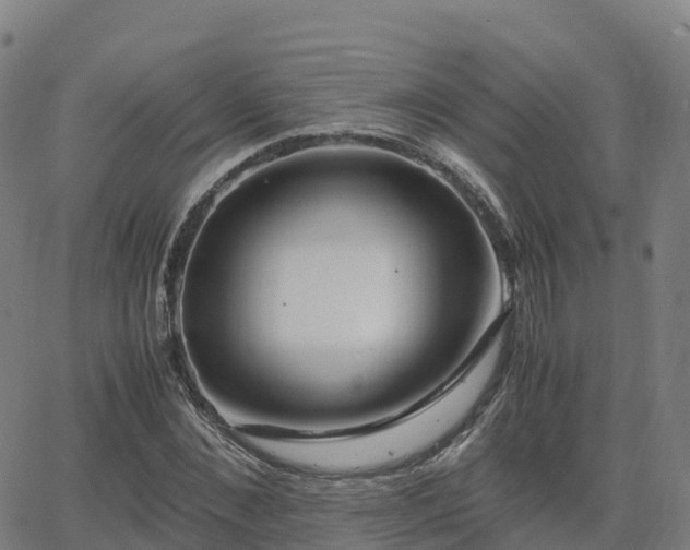 X0000062920876200601181242