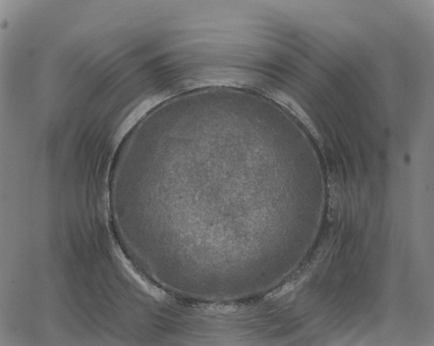 X0000062920890200601181241