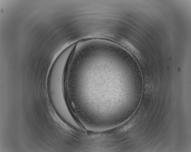 X0000062920892200601181241