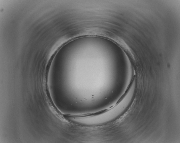 X0000062920896200601181241