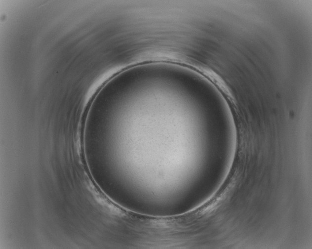 X0000062920904200601181241