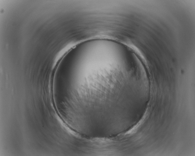 X0000062920910200601181241