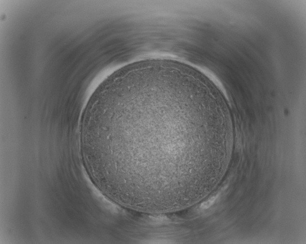X0000062920911200601181241