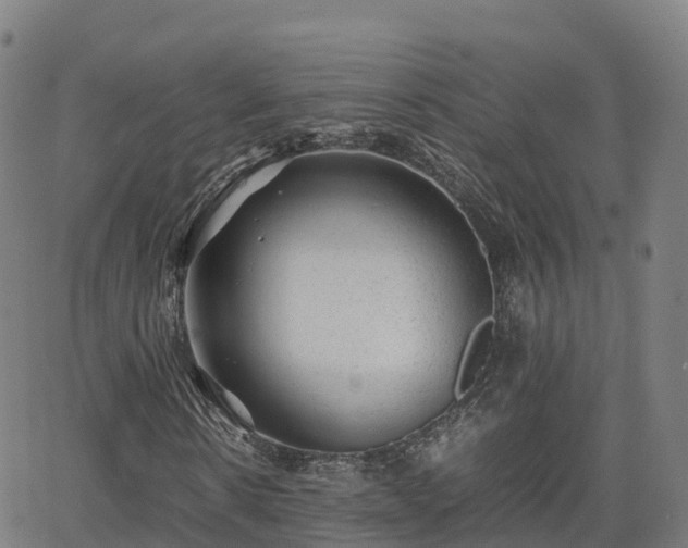 X0000062920914200601181240