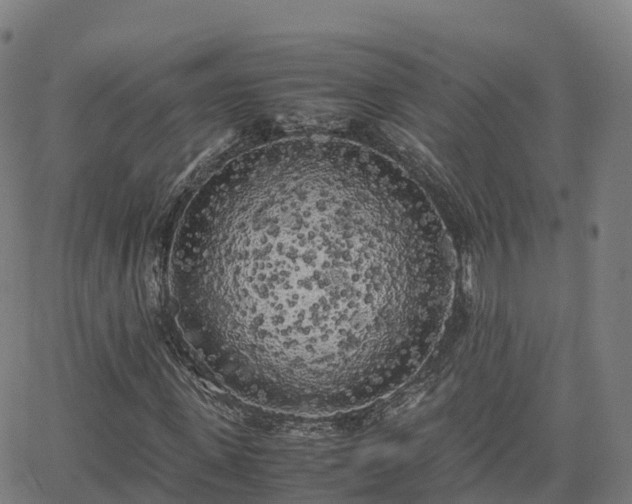 X0000062920915200601181240