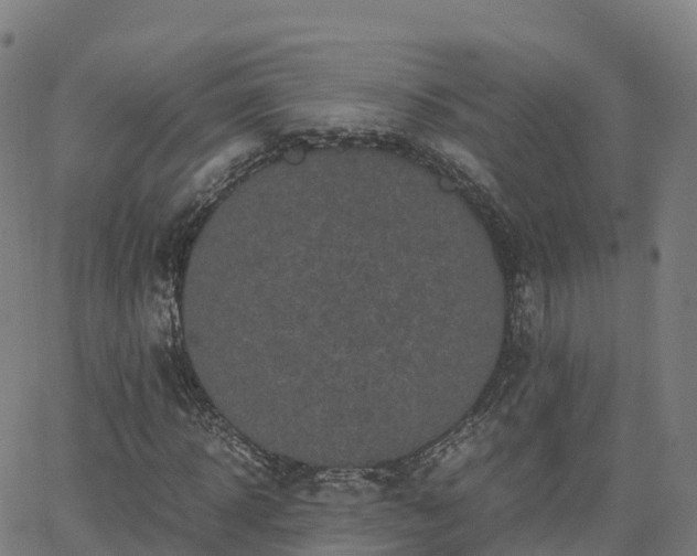 X0000062920918200601181240
