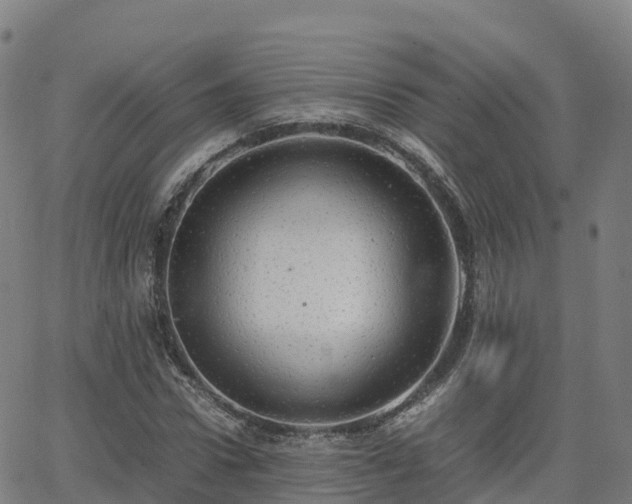 X0000062920922200601181241