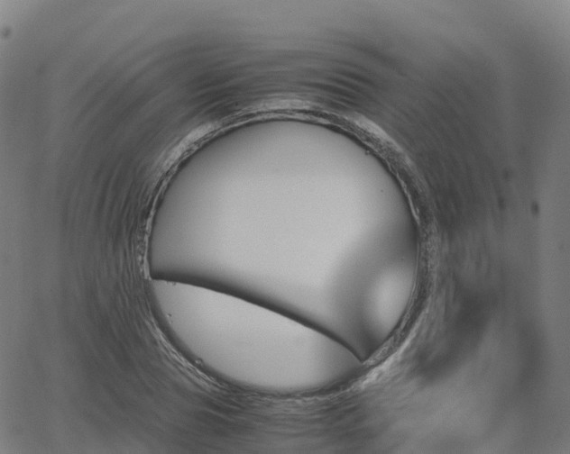 X0000062920929200601181241