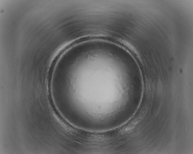 X0000062920935200601181241