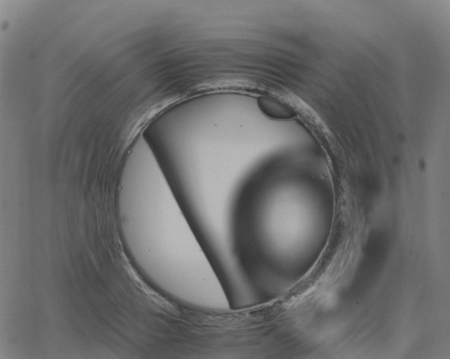 X0000062920937200601181241