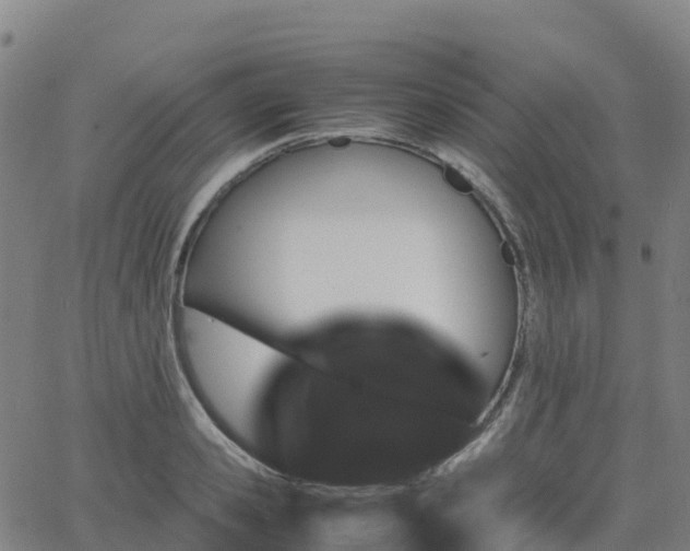 X0000062920941200601181241