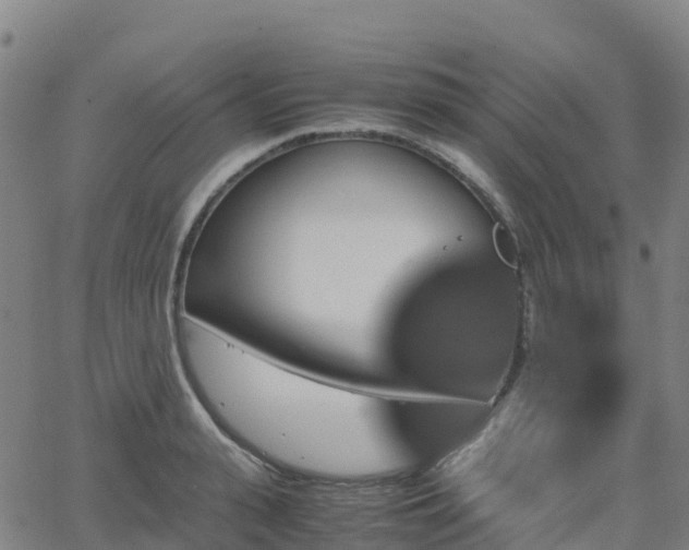 X0000062920943200601181241