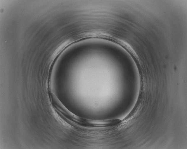 X0000062920946200601181241