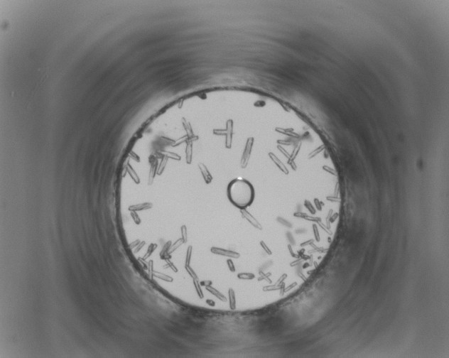 X0000062920950200601181241