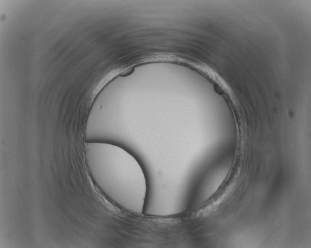 X0000062920953200601181241