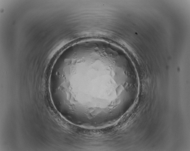 X0000062920975200601181240