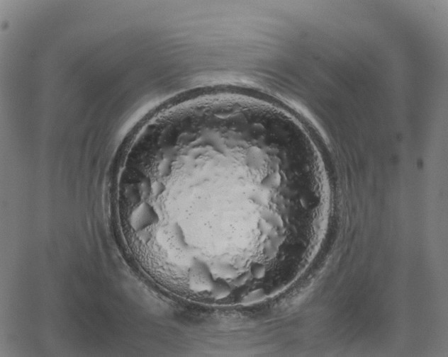 X0000062920983200601181240