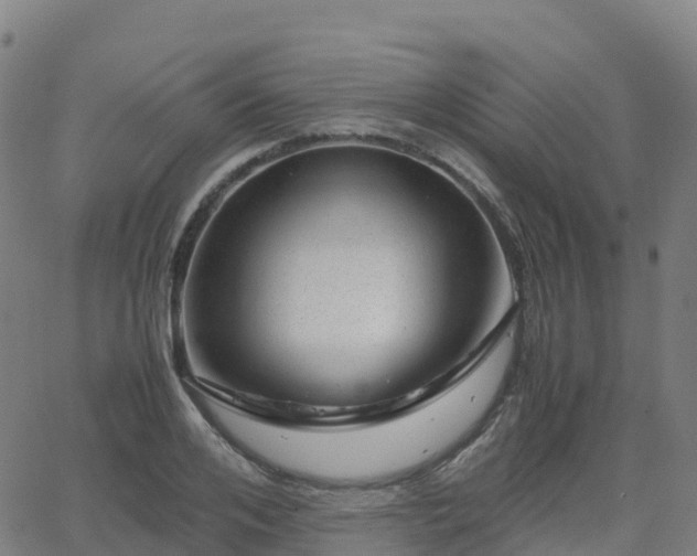 X0000062920984200601181240
