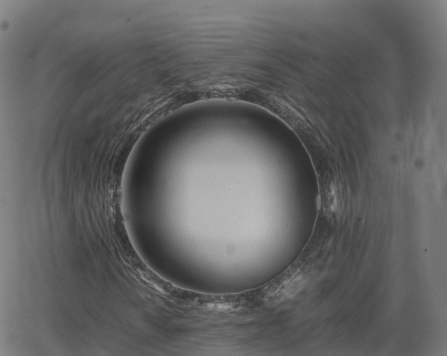 X0000062921010200601181239