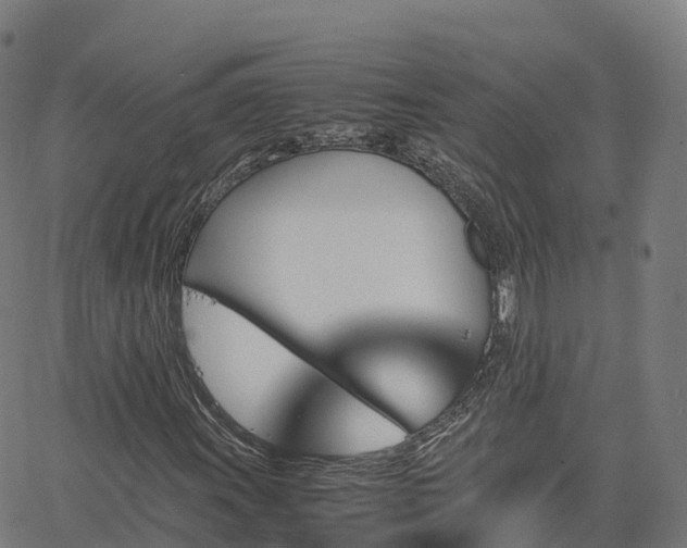X0000062921011200601181239