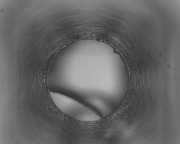 X0000062921013200601181239