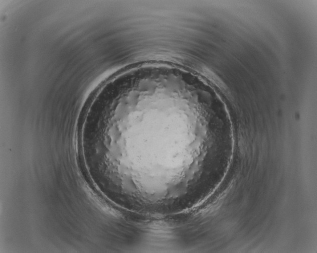 X0000062921028200601181239