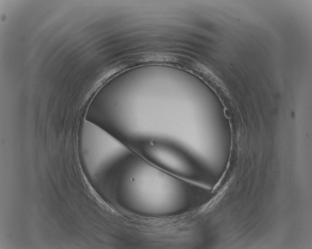 X0000062921033200601181239