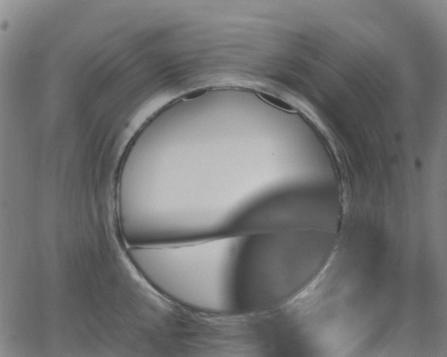 X0000062921048200601181239