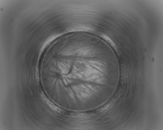 X0000062921072200601181238
