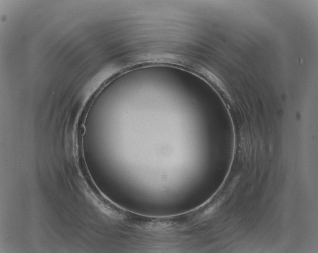 X0000062921082200601181238