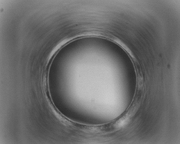 X0000062921101200601181238