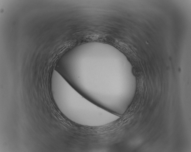 X0000062921105200601181237
