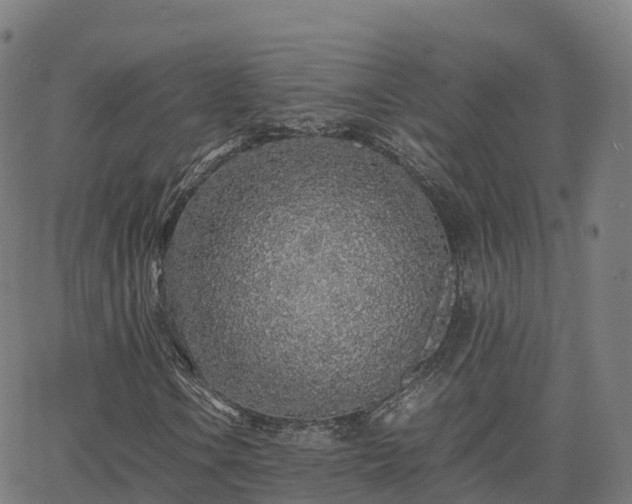 X0000062921106200601181237