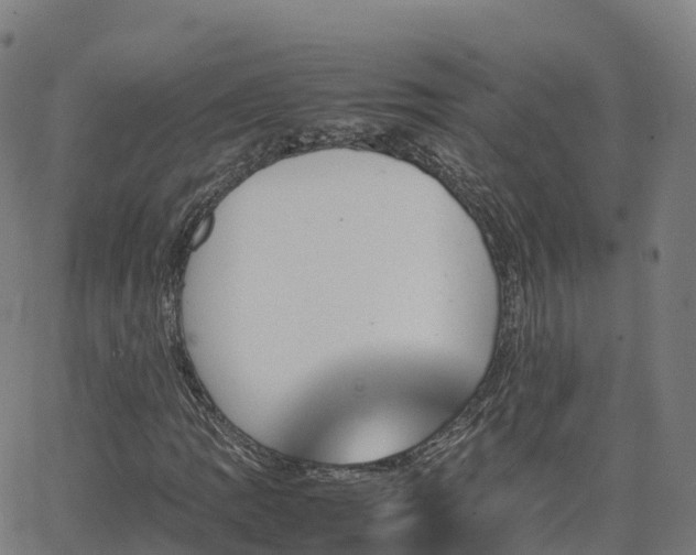 X0000062921109200601181237