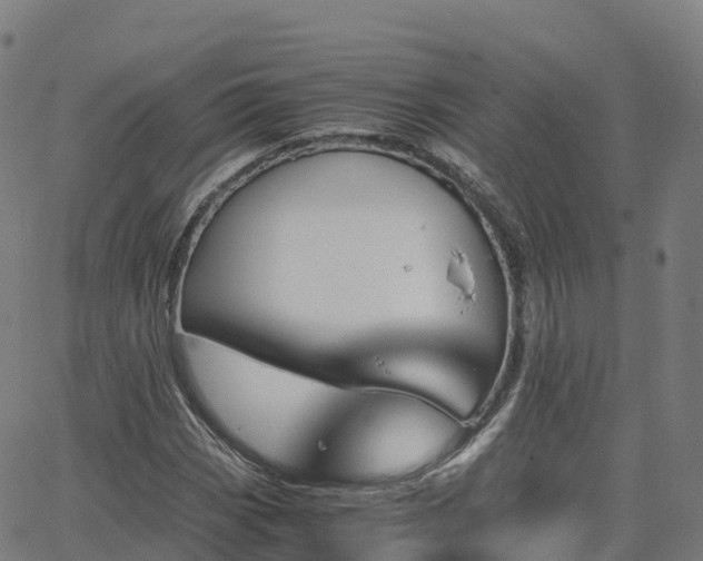 X0000062921113200601181237