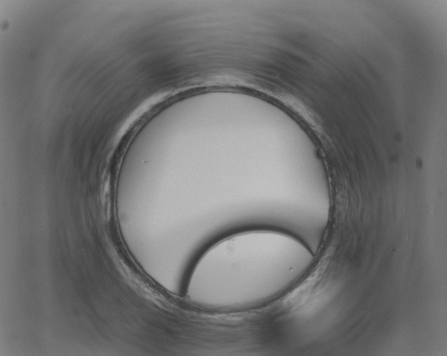 X0000062921126200601181238