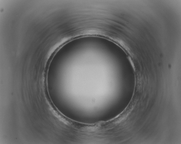 X0000062921134200601181238