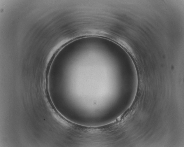 X0000062921136200601181238