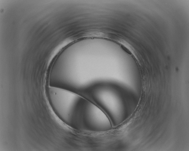 X0000062921139200601181238