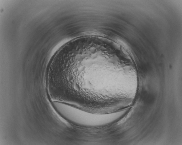X0000062921141200601181238