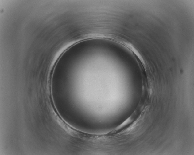 X0000062921148200601181238