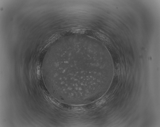 X0000062921154200601181237