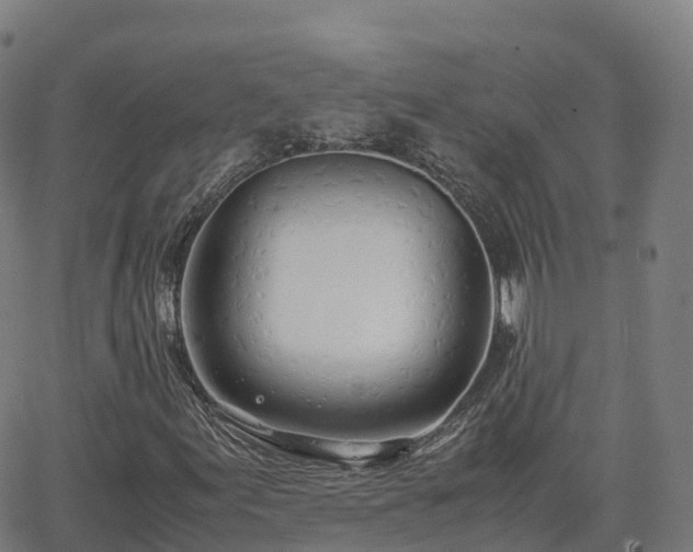 X0000062921155200601181237