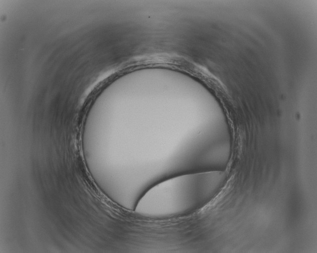 X0000062921166200601181237